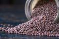 Brown Mustard Seeds Spilled from a Jar Royalty Free Stock Photo
