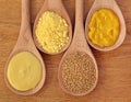 Mustard Selection Royalty Free Stock Photo
