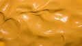 Mustard.The texture of the mustard. Royalty Free Stock Photo