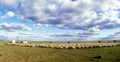 Mustering merino sheep on the Hay plains. Royalty Free Stock Photo