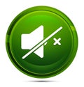 Mute speaker icon glassy green round button illustration Royalty Free Stock Photo