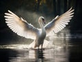 Ai Generated illustration Wildlife Concept of Mute swan