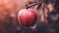 Muted Colorscape Mastery: A Poetic Red Apple With Ray Tracing