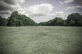 Muted green field of grass and trees background