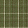 Muted green winter woven plaid texture. Seamless woolen scottish style plaid fabric cloth. Rustic classic checkered