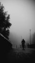 Silent Journey: Cyclist's Commute Through the Morning Fog