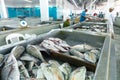 MUTRAH, OMAN - NOVEMBER 14, 2022: Vendors selling tuna, sardines and other fish species at fish souk in Mutrah. Oman.