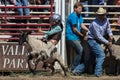 Mutton Busting