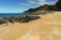 Mutton Cove, Abel Tasman National Park, New Zealand Royalty Free Stock Photo