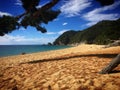 Mutton Cove, New Zealand Royalty Free Stock Photo