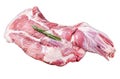 Mutton lamb whole shoulder, raw meat in a steel tray with herbs. Isolated, white background. Royalty Free Stock Photo