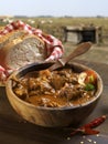 Mutton stew Royalty Free Stock Photo