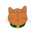 The muzzle of a cat that looks down. The dollar is on the collar