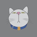 The muzzle of a cat that looks down. The dollar is on the collar Royalty Free Stock Photo