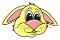 Muzzle cheerful rabbit