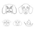 Muzzle of different breeds of dogs.Dog breed of dachshund, lapdog, beagle, pug set collection icons in outline style