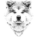 Muzzle dog breed Akita inu