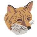 The muzzle is a fox silhouette drawn by squares, pixels. Portrait image of a fox