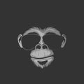 Muzzle of a gorilla in sunglasses on a dark background. Vector Royalty Free Stock Photo