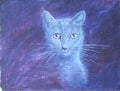 Muzzle kitten, portrait, oil painting