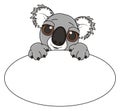 Muzzle of koala with oval paper