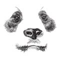 Muzzle panda on a white background