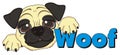 Muzzle of pug with word woof