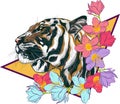 Muzzle of a tiger in a triangle with flowers.Tiger in flowers. Strong and fearless tiger.