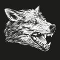 Muzzle of a wolf, wildlife hand drawn vector illustration realistic sketch white on a black background