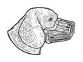 muzzled dog sketch vector illustration