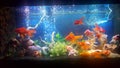 My aquarium with vail teil goldfishes