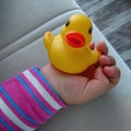 My baby baby little duck