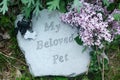 My Beloved Pet Memorial with Lilacs