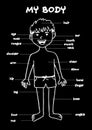 My body`, educational info graphic chart for kids