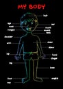 My body`, educational info graphic chart for kids