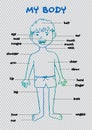 My body`, educational info graphic chart for kids