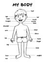 My body`, educational info graphic chart for kids