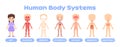 My body. Illustration with Human body systems education. Systems: muscular, skeletal, nervous, digestive, circulatory, respiratory Royalty Free Stock Photo