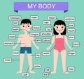 My body. Learning human parts of body. Educational vector illustration for kids. Children infographics Royalty Free Stock Photo