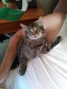 My cat named Eddie he& x27;s very sweet and loveable and love attention