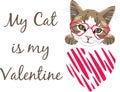 My cat is my Valentine. Funny festive design