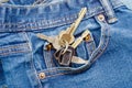 In my denim pocket Royalty Free Stock Photo