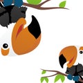 Illustration of Tukan Toco Bird Cartoon, Cute Funny Character, Flat Design