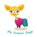 My fashion doggy