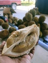 Durian King of fruit from Indonesia