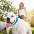 This is my favourite time of the day. a woman walking her dogs in the park. Royalty Free Stock Photo