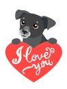 My Feelings. Design Element Valentines Day. Lovely Dog With Heart And Text I Love You.