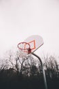 A moody basketball goal