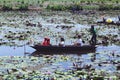 My friends and I took a boat to watch the pink lotus pond, a happy holiday.