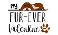 My Fur Ever Valentine isolated on white background. Dog Lover Handwriting design. For t shirt, greeting card or poster design